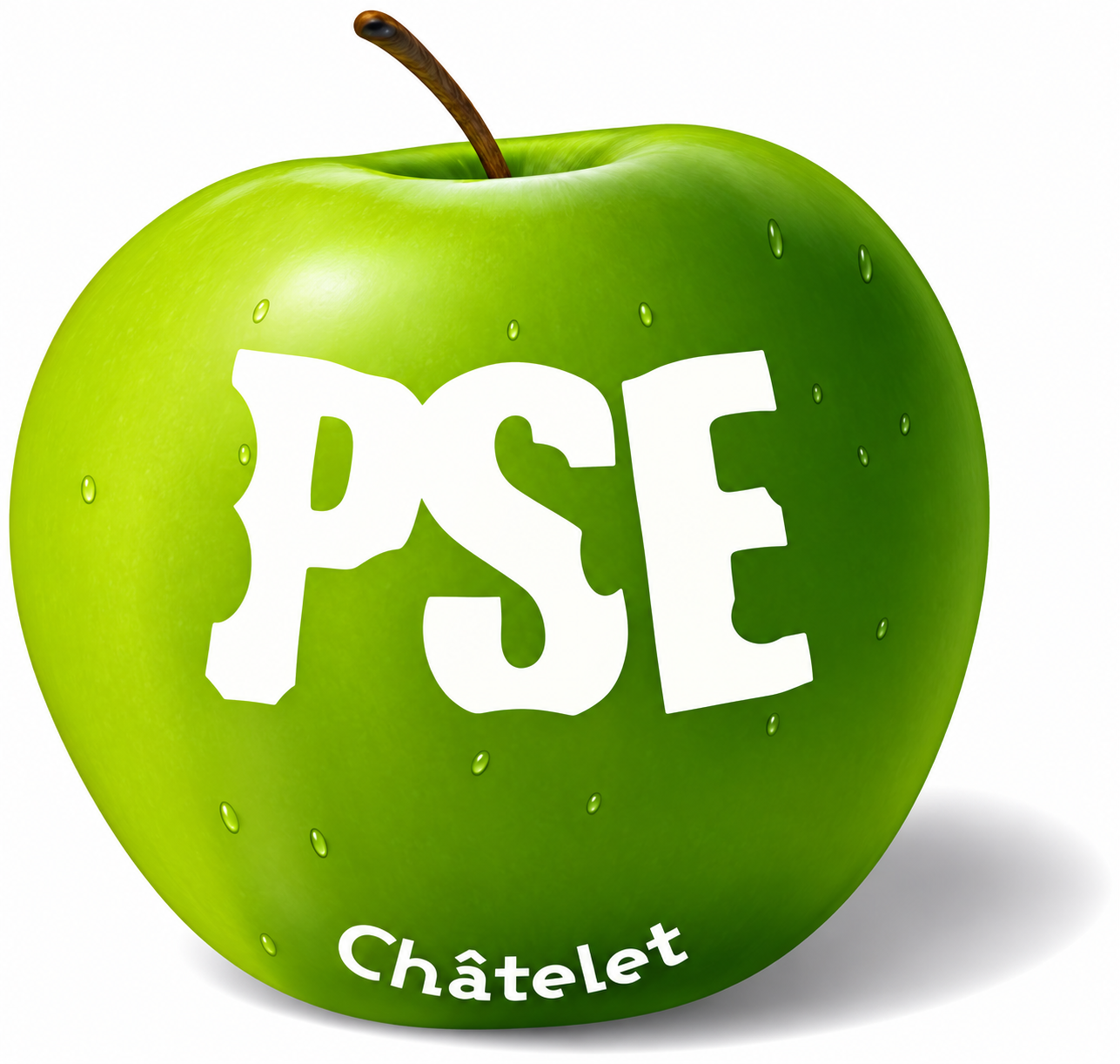 PSE